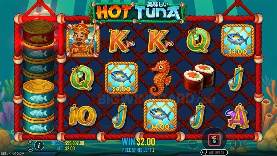 Responsible Gaming Practices